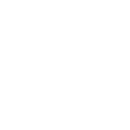 Stages professionnels en milieu de travail