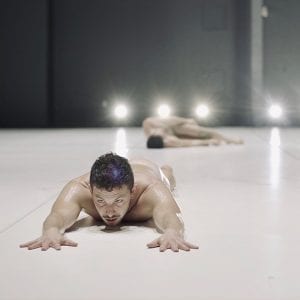 Pépinière LOJIQ Andrea Pena